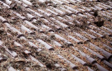 Tobermore roof cleaning companies