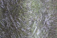 Tobermore fibreglass roof work